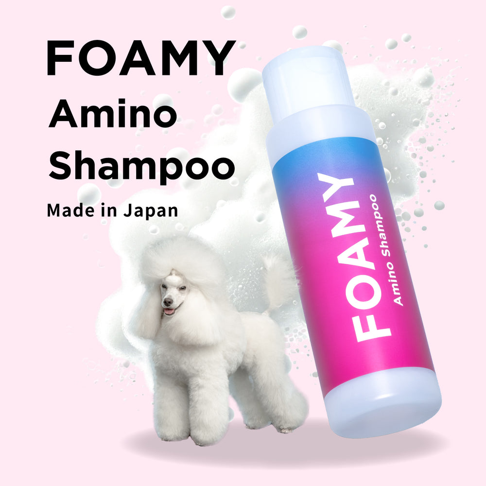 FOAMYアミノシャンプー